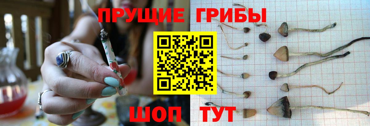 Галлюциногенные грибы GOLDEN TEACHER Альметьевск